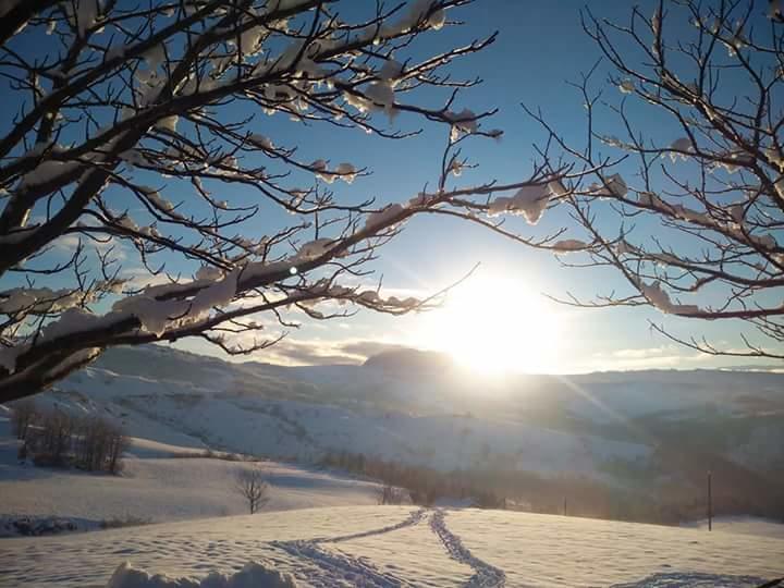 Fra Bosco e Cielo B&B Mercato Saraceno Eksteriør bilde